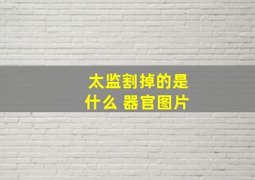 太监割掉的是什么 器官图片